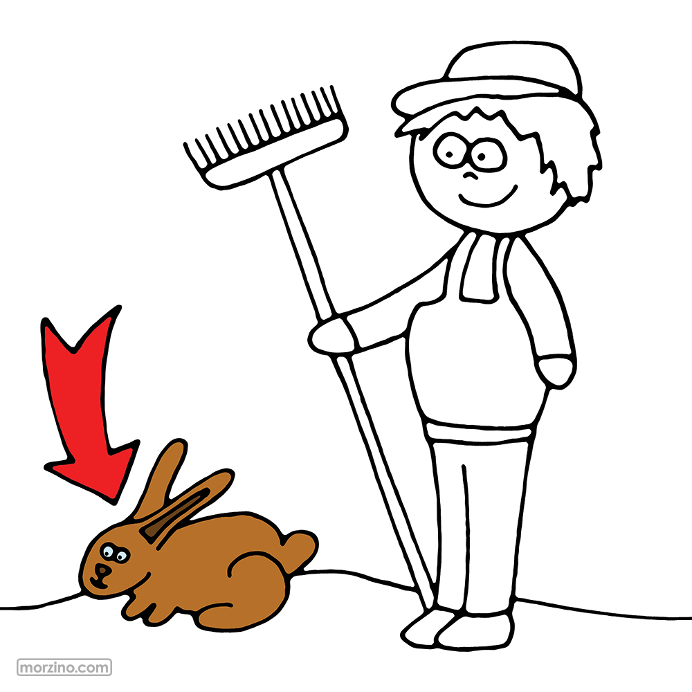 Bildwörterbuch: Kaninchen