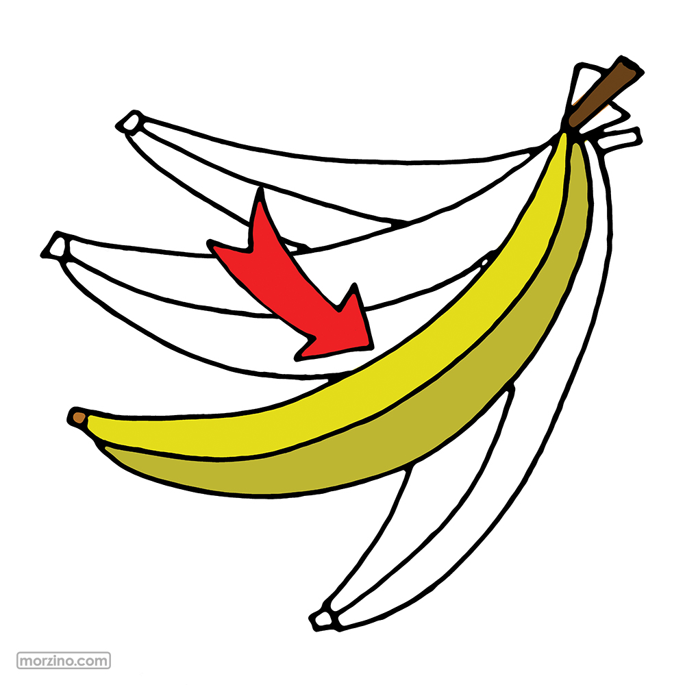 Bildwörterbuch: Banane