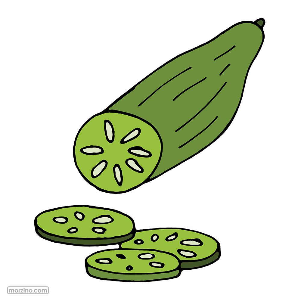 Bildwörterbuch: Gurke