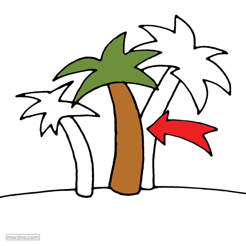 Bildwörterbuch: Palme