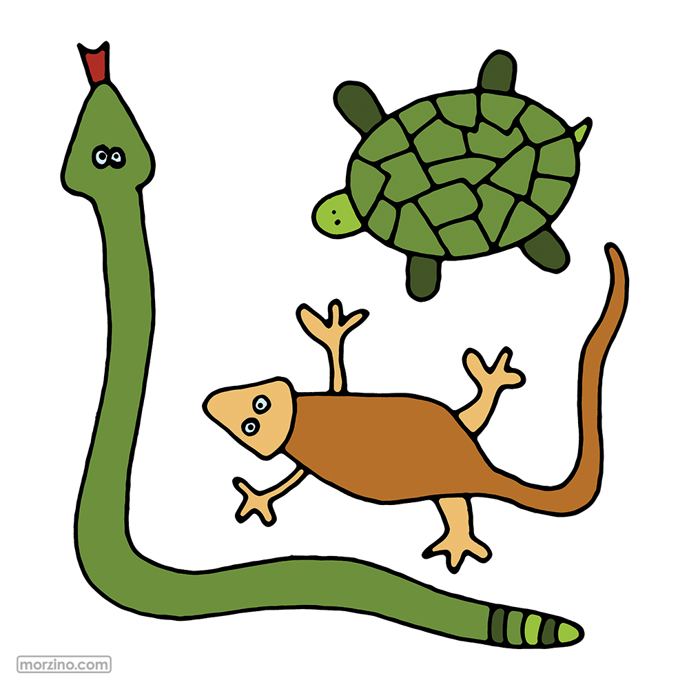 Bildwörterbuch: Reptilien