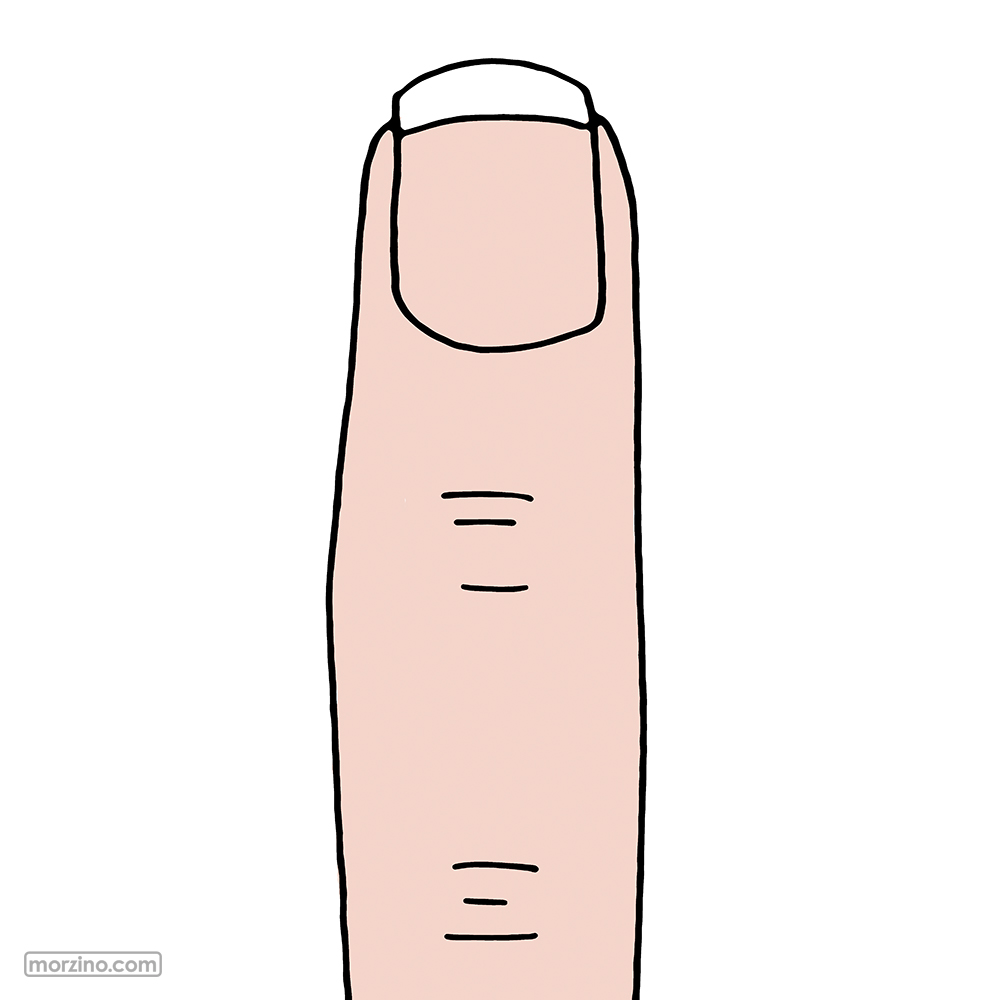 Bildwörterbuch: Finger