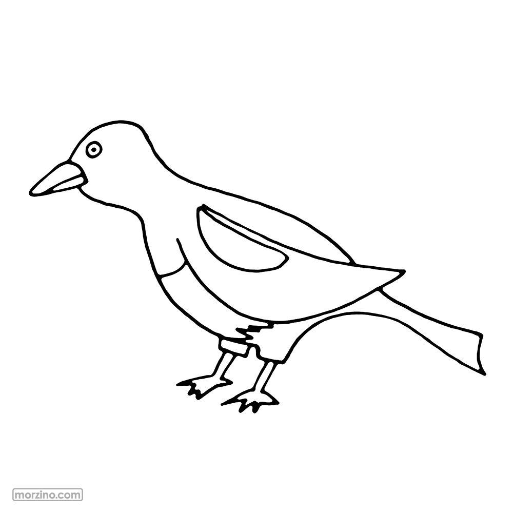 Ausmalbild: Elster