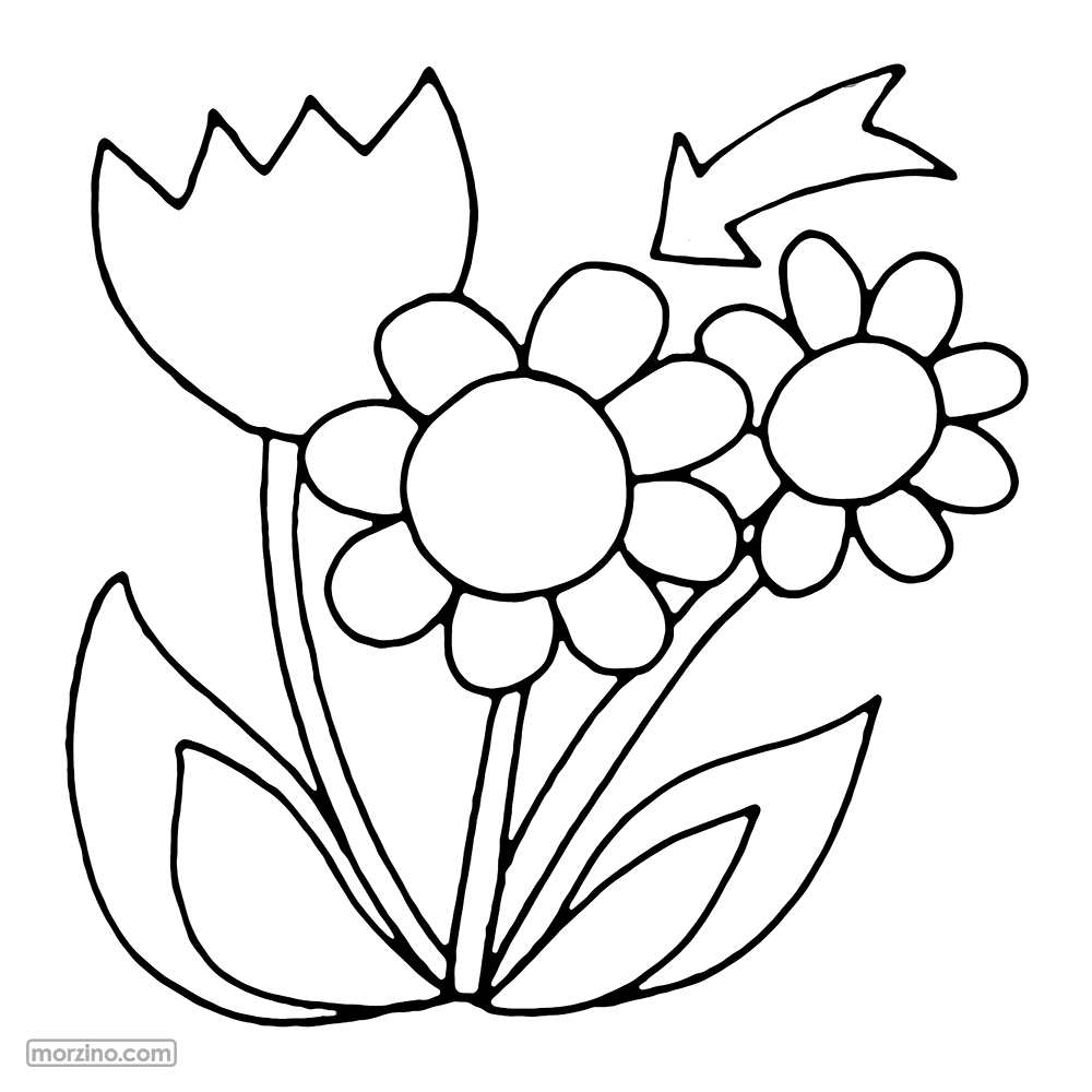 Bildwörterbuch: Blume