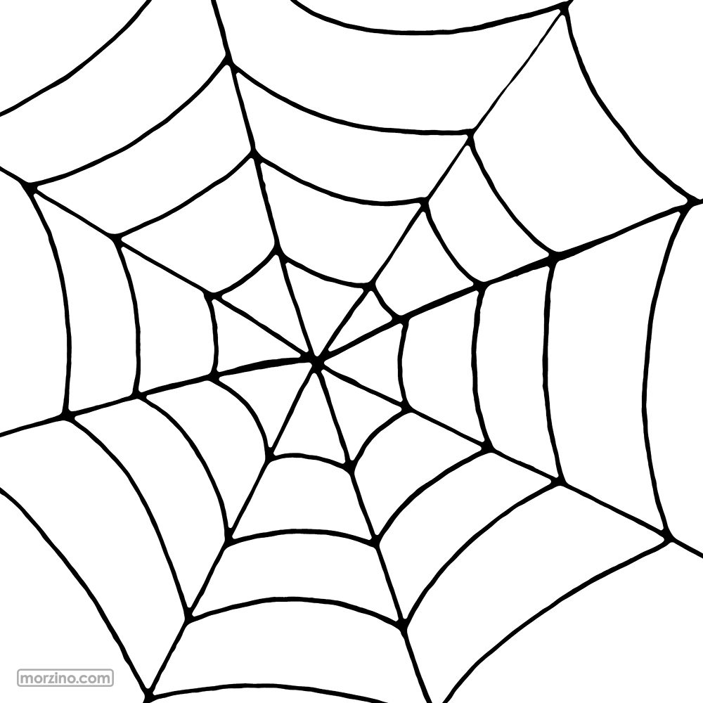 Ausmalbild: Spinnennetz