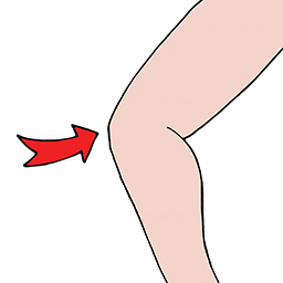 Knie