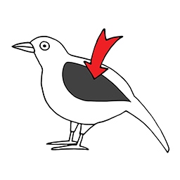 Flügel