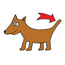 Schwanz