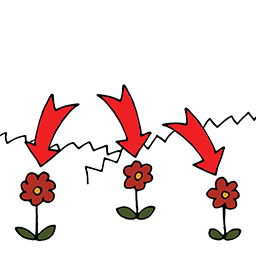 Blumen