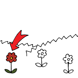 Blume