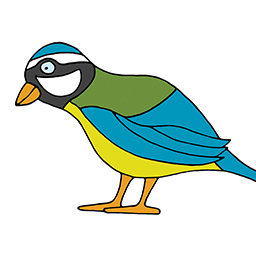 Blaumeise