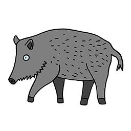 Wildschwein