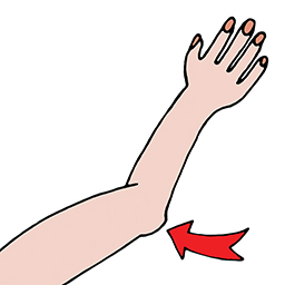 Ellbogen