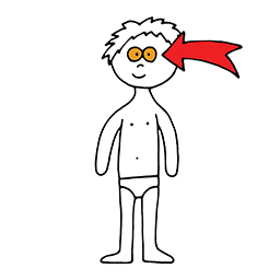 Augen