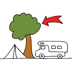 Baum