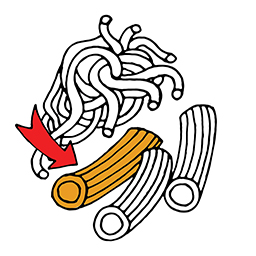 Nudel