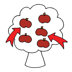 Äpfel