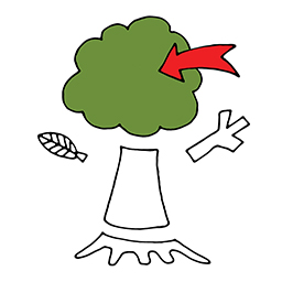 Baumkrone