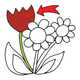 Blume