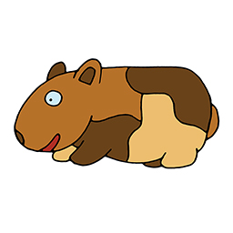 Meerschweinchen