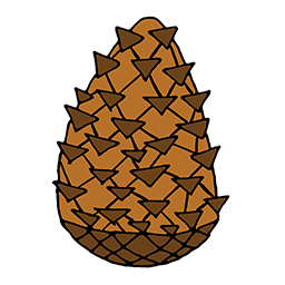 Zapfen