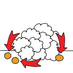 Maiskörner