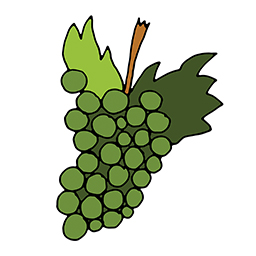 Weinrebe
