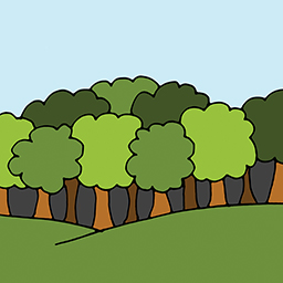 Laubwald