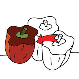 Paprika