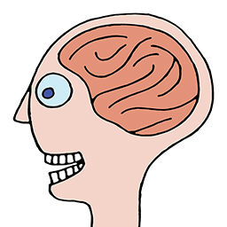Kopf